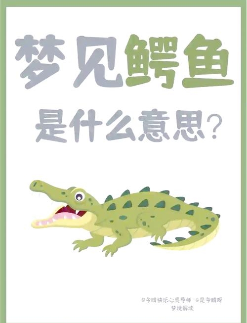 孕妇梦见鳄鱼，梦境背后的深层含义与解读插图