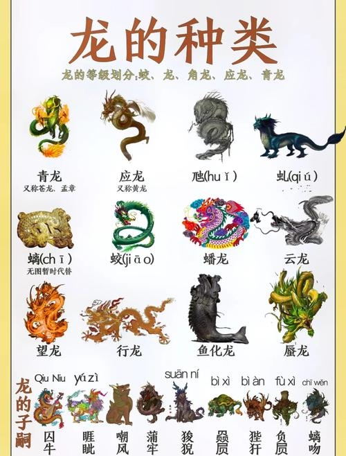 学富五车映生肖—智慧之象征的龙插图