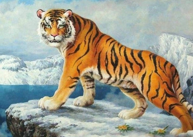 威风凛凛生肖探秘插图