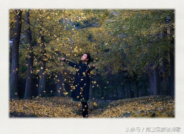 秋风秋雨生肖探秘插图