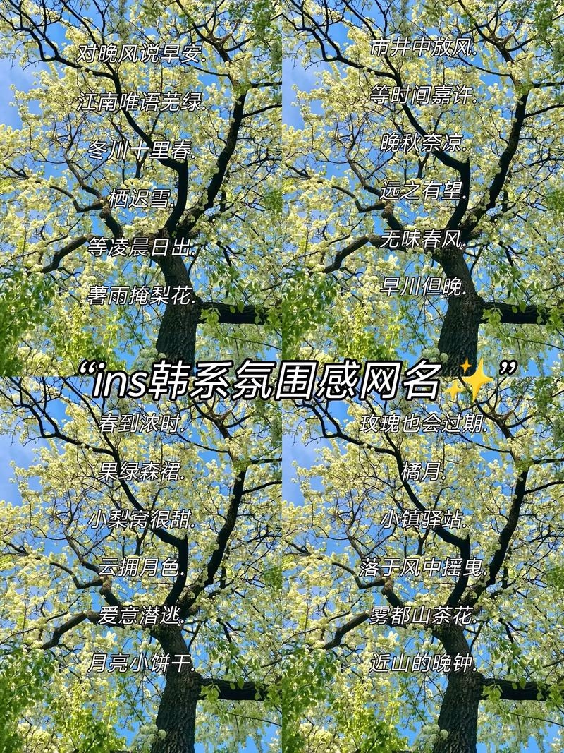 韩国风QQ网名，潮流与个性的完美融合插图