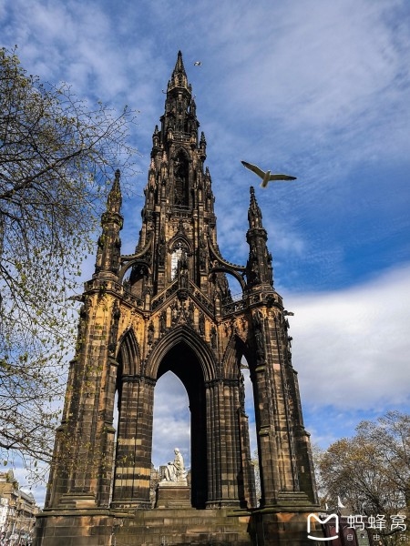 苏格兰圣安德鲁日，纪念守护神与文化庆典插图