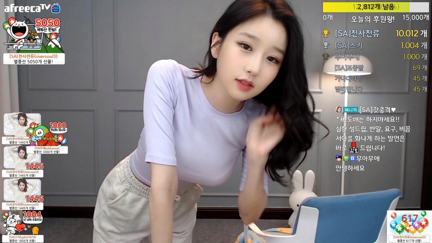 韩国女主播的魅力与种子下载现象插图