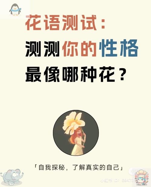 性格测试，解锁你的花语密码插图