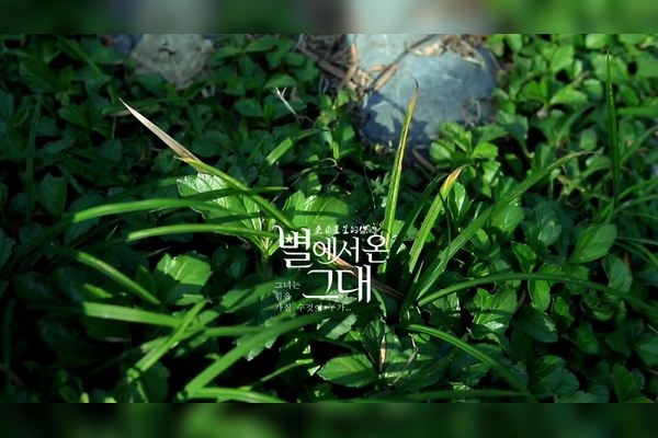 熹光,温暖明亮,喻生活美好插图 熹光,温暖明亮,喻生活美好插图