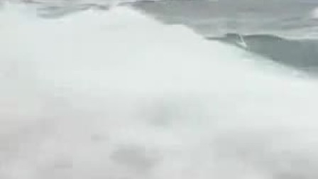 碧海青天生肖探秘插图