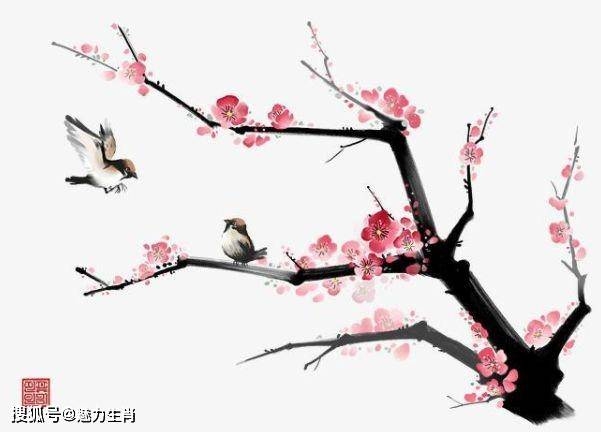 梅花杏花照玉堂生肖插图 梅花杏花照玉堂生肖插图