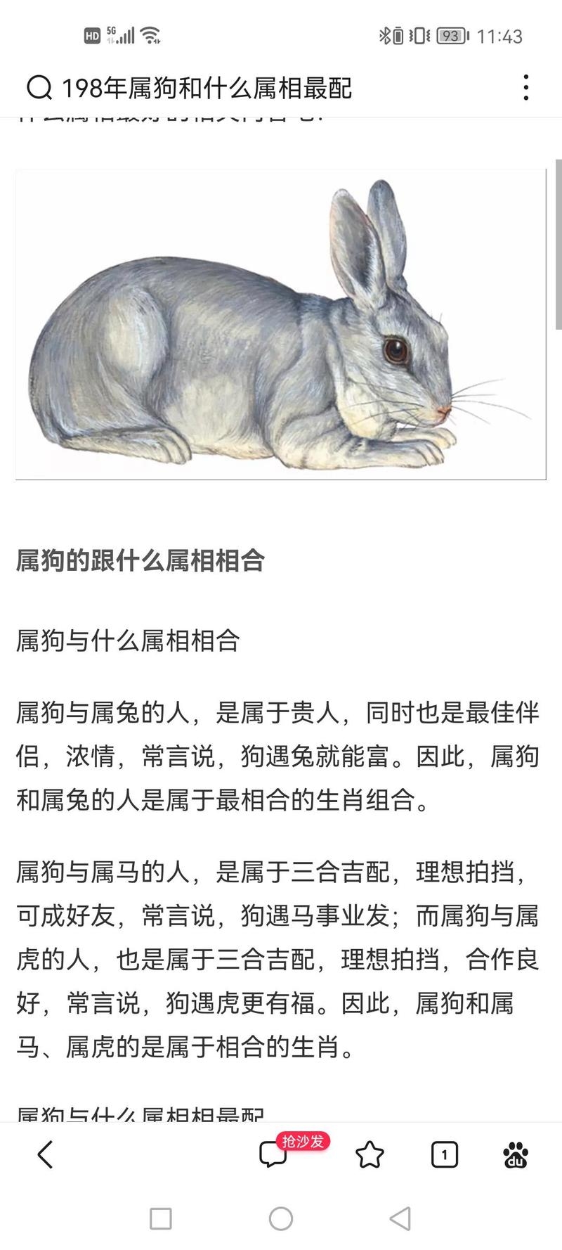 狗和兔配对吗？解析其潜在价值与潜在风险插图