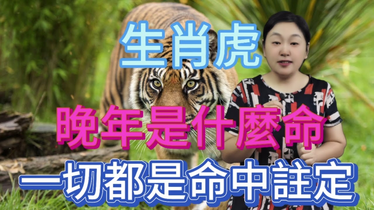 骑虎难下生肖揭秘插图