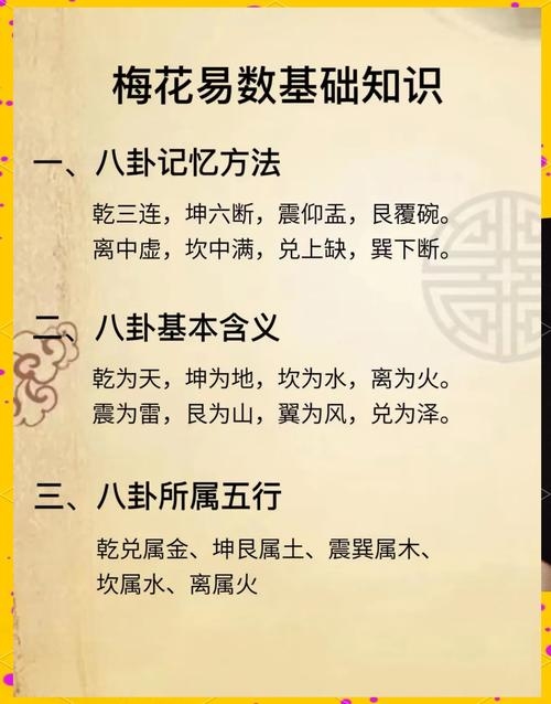 梅花易数在线排盘，解读命运之秘的神奇工具插图