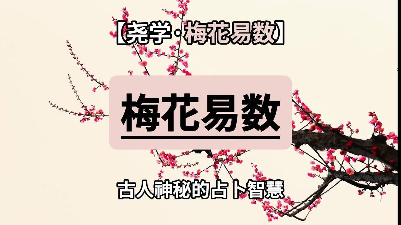 梅花易数排盘,精准预测运势的神秘密码插图 梅花易数排盘,精准预测运势的神秘密码插图
