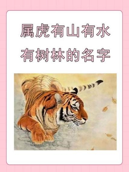 属虎者的山水林之韵—探寻有山有水有树林的名字插图
