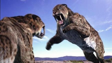 悬剑空垄之下的神秘动物—探秘剑齿虎的传奇插图