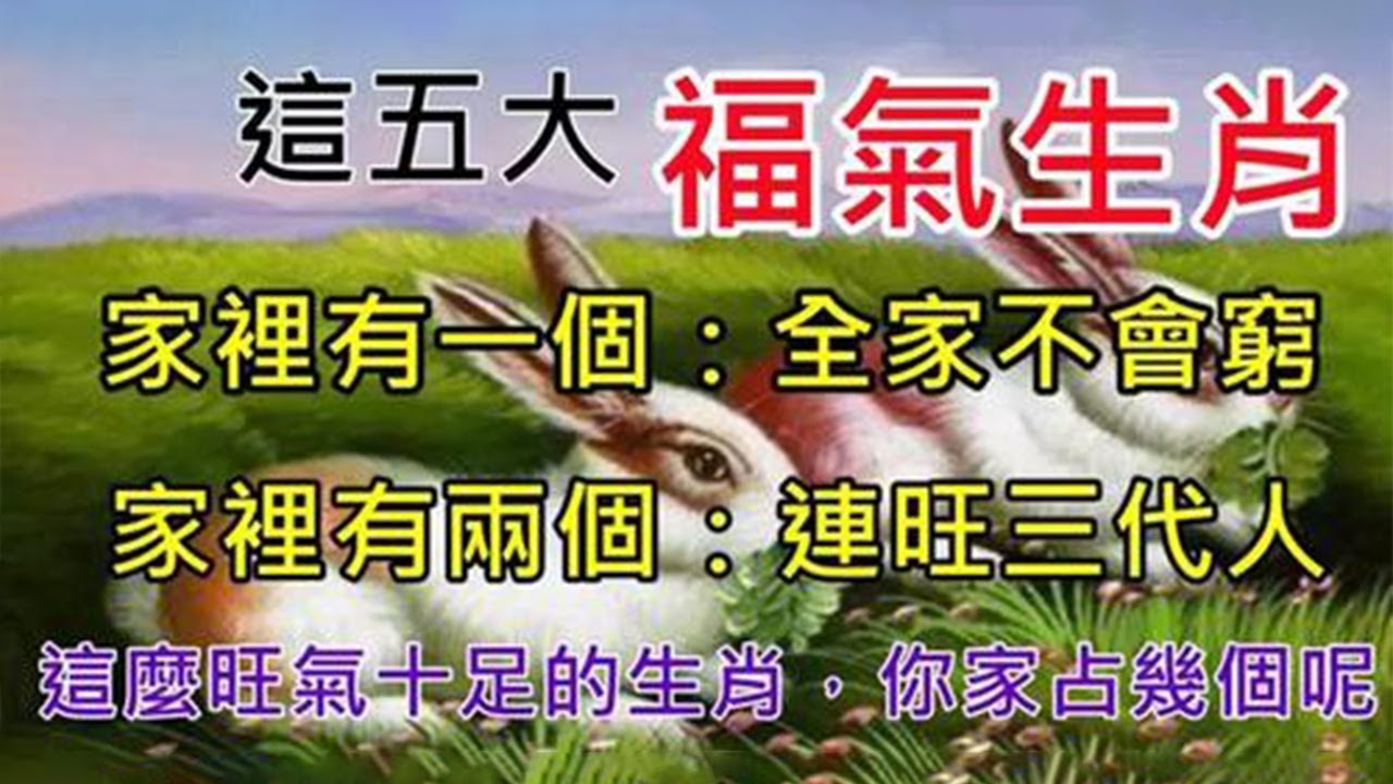 小家子气与生肖的微妙关系插图 小家子气与生肖的微妙关系插图