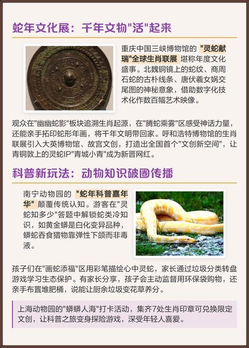 盛况空前生肖揭秘插图