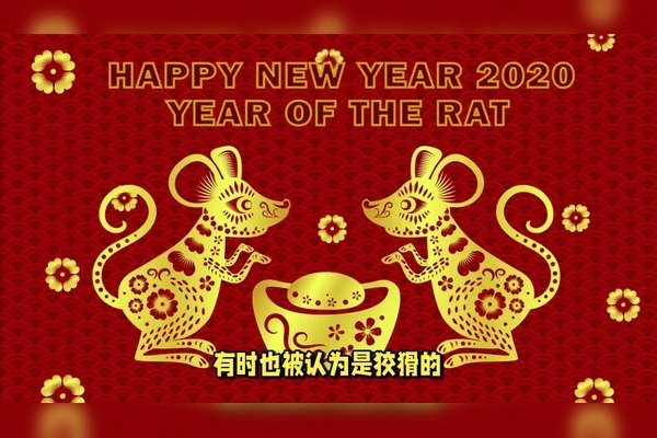 碧空如洗，揭示生肖之谜插图