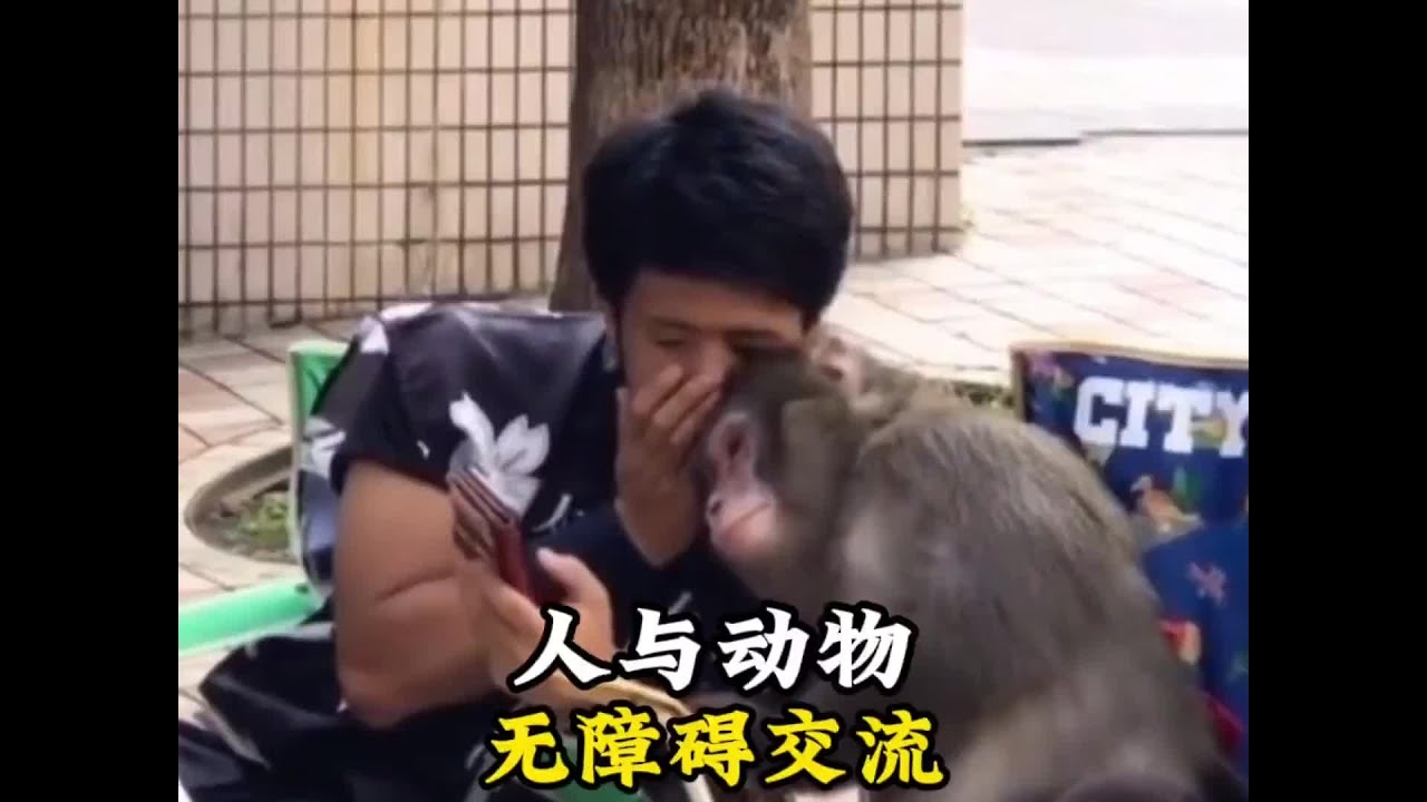 笑料不断，那些让人捧腹的搞笑宠物名字插图