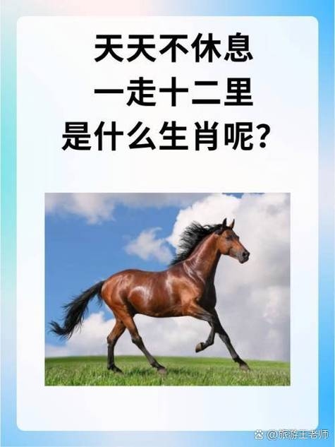 川流不息—揭秘生肖中的奔腾力量插图 川流不息—揭秘生肖中的奔腾力量插图