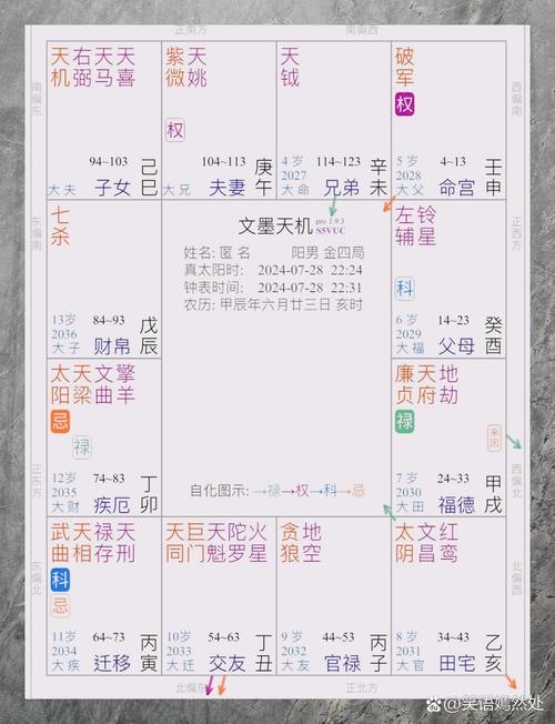杨老师紫微免费算命，探索命运之路插图