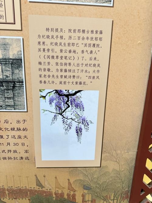 梅林，传统文化的古老密码，解码梅林背后所蕴含的文化密码插图