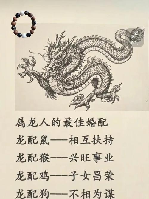 属龙最配相合之佳侣插图