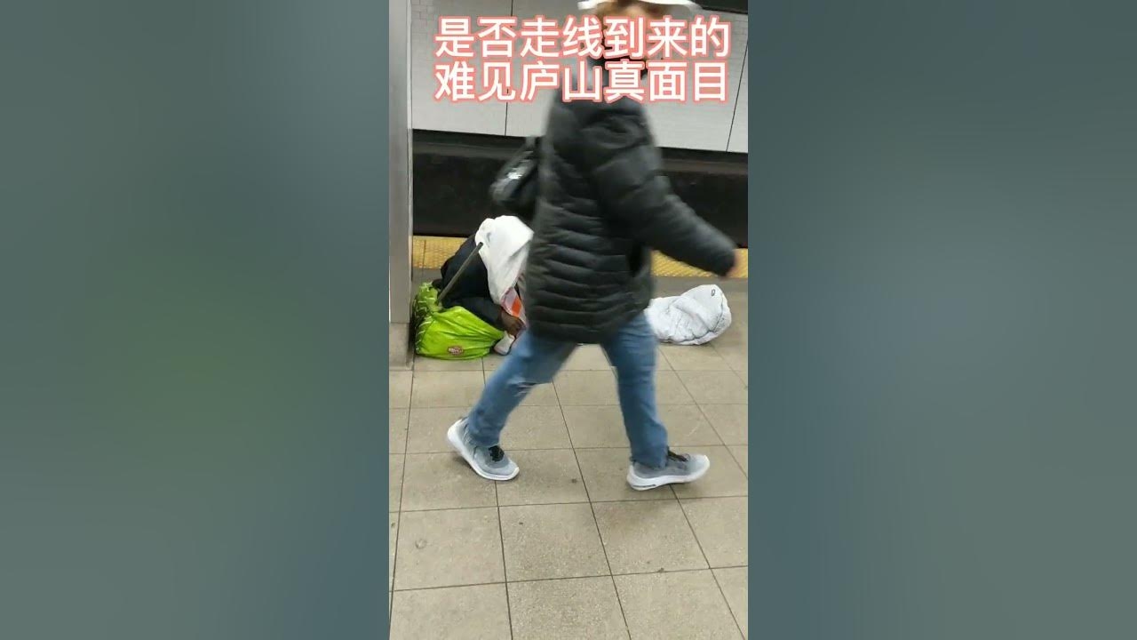 豪门酒肉猜，揭秘生肖谜团插图