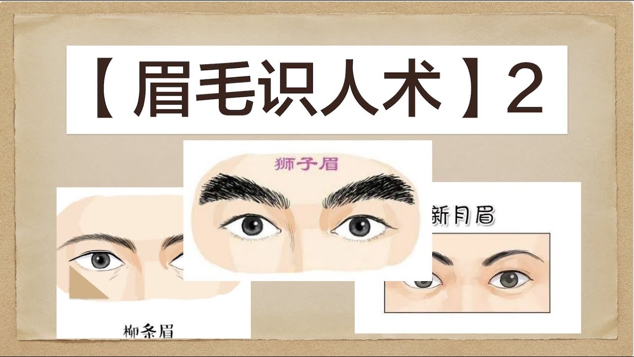 眉毛看相算命图解，揭示神秘的面部特征插图