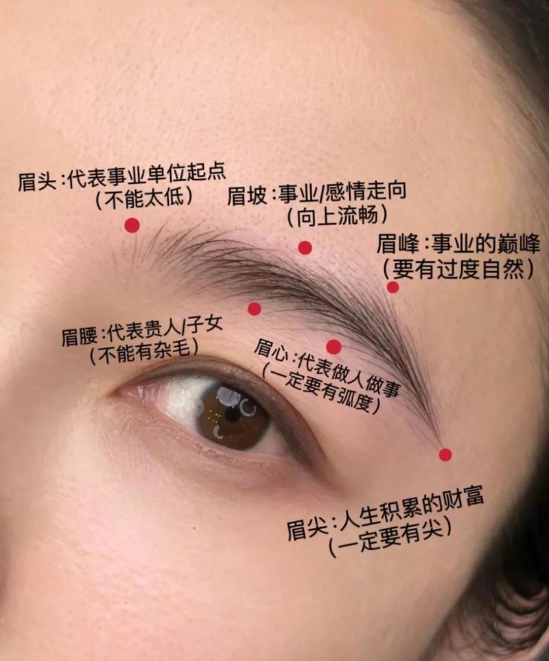 眉毛连在一起,探索面相学的奥秘与个人风格的新维度插图 眉毛连在一起,探索面相学的奥秘与个人风格的新维度插图