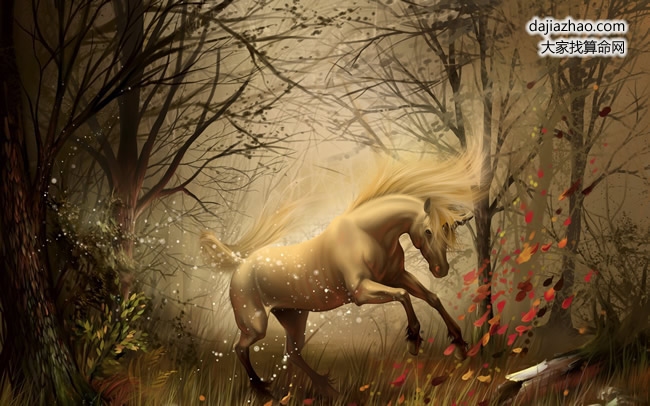 属马人在2019年的运势展望插图