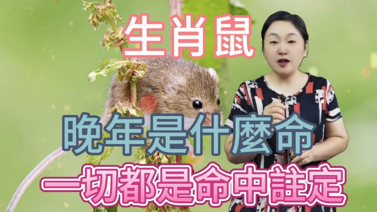 鼠目寸光—解读生肖视野下的独特智慧插图 鼠目寸光—解读生肖视野下的独特智慧插图
