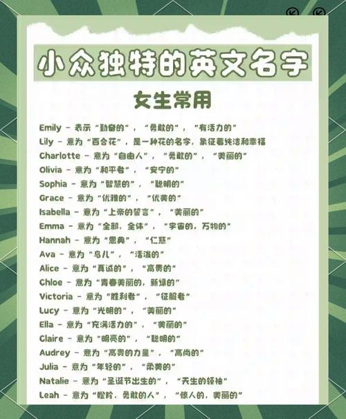绝美英文名，定义你的独特与闪耀插图