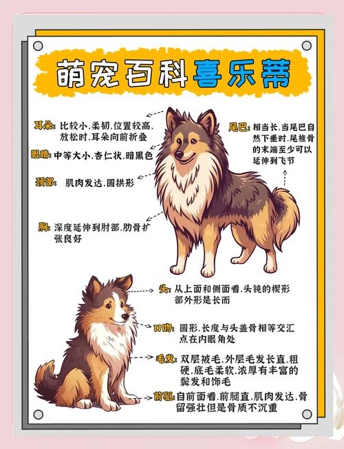 狗名字的奇妙世界，狗狗的奇妙姓名之谜插图