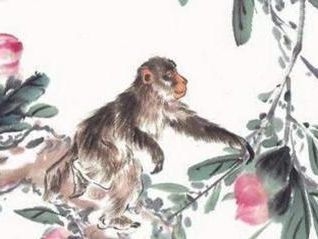 猴年出生的智慧与活力,探索属猴人的独特魅力插图 猴年出生的智慧与活力,探索属猴人的独特魅力插图