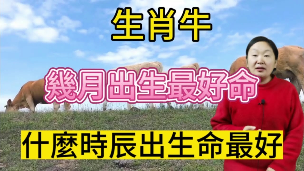 属牛的人几月出生最好？探寻最佳命运月份插图
