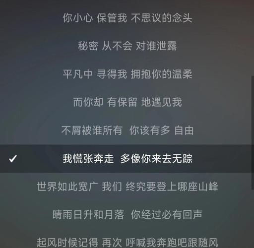 陪你到世界的终结—一首充满情感力量的歌词解读插图
