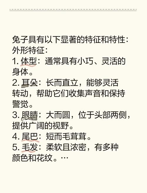 兔年特性与生肖特点插图