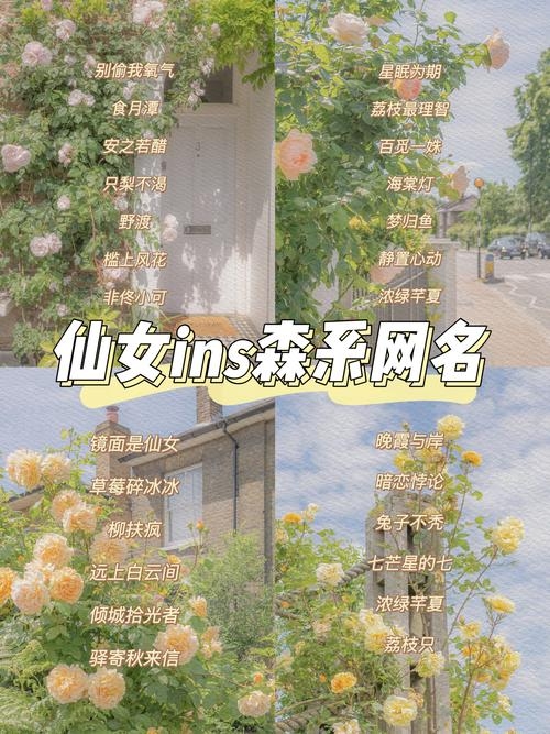仙女味网名灵感指南，解锁梦幻网名的神秘密码插图