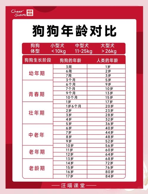 狗年2013年运程展望插图 狗年2013年运程展望插图