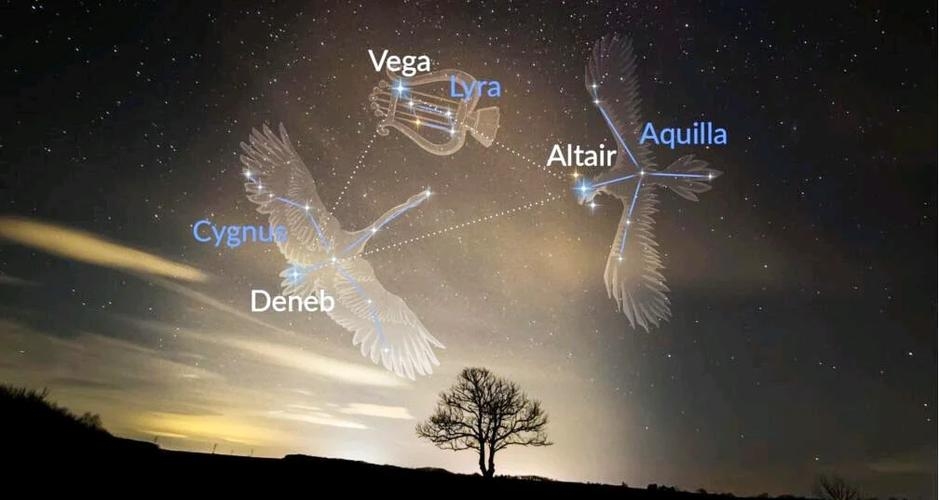 织女星与夏季夜空中的璀璨星座插图