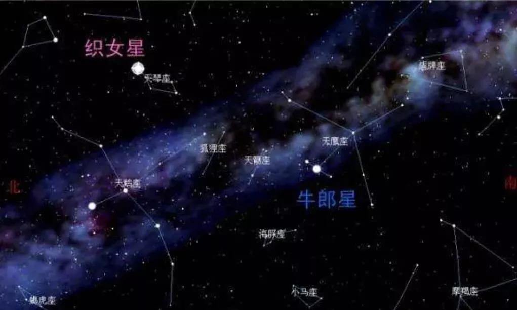 牵牛星在哪个星座插图 牵牛星在哪个星座插图