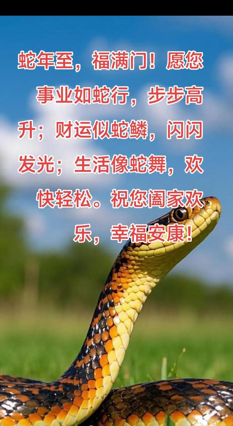 蛇年运程2013,洞悉蛇年运势,把握未来走向插图 蛇年运程2013,洞悉蛇年运势,把握未来走向插图