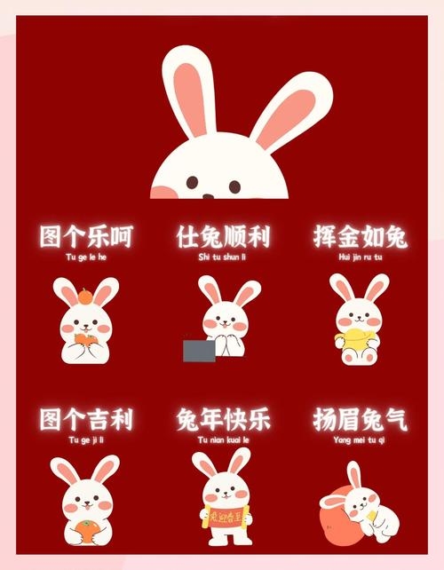 兔年之后，哪个生肖紧随其后？插图