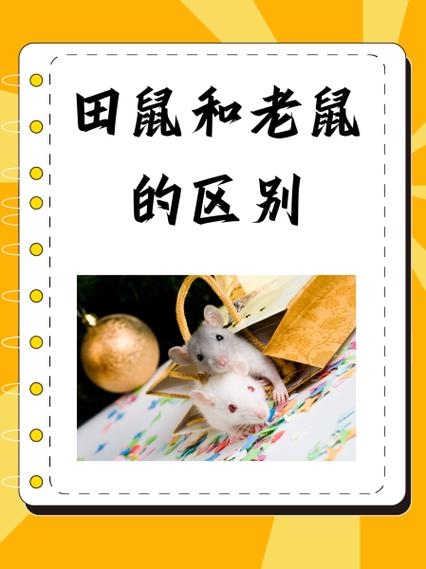 田内之鼠，一种文化象征与深层解读插图