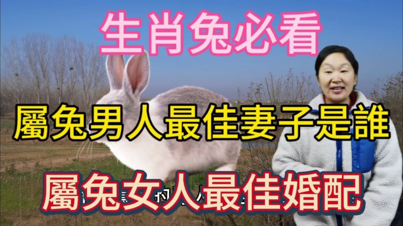 兔女最佳婚配生肖，属鼠为最佳选择。插图