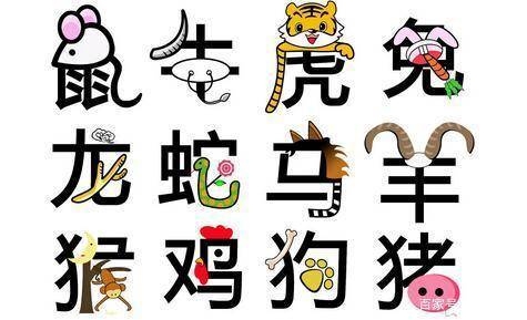 鸡皮鹤发与生肖之谜插图