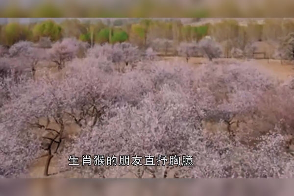 紫气东来，揭示背后的生肖之谜插图