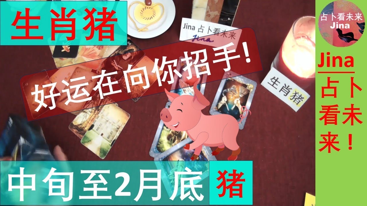 瞻前顾后，智解生肖之谜插图