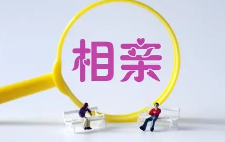 相亲2高清版，开启优质关系的第一步插图