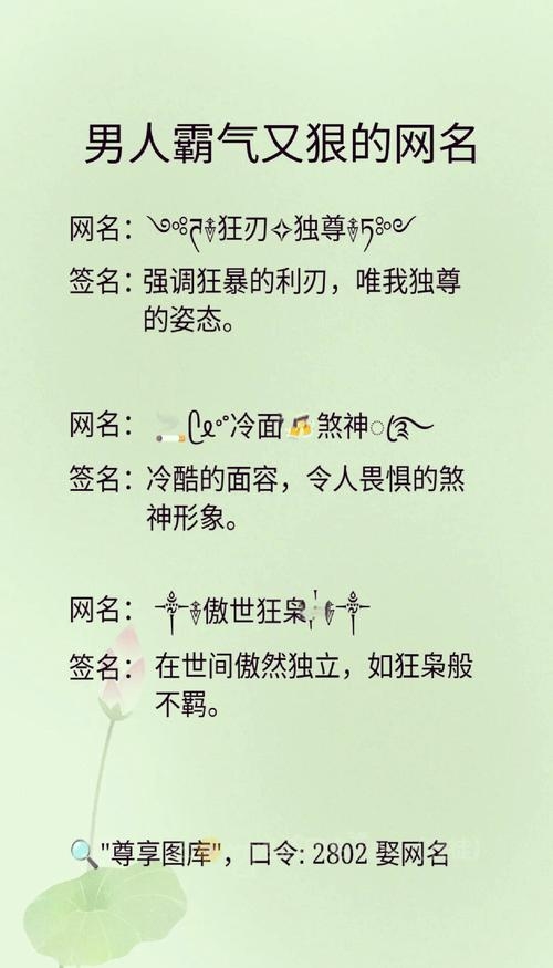 霸气侧漏，游戏世界中的名字艺术插图