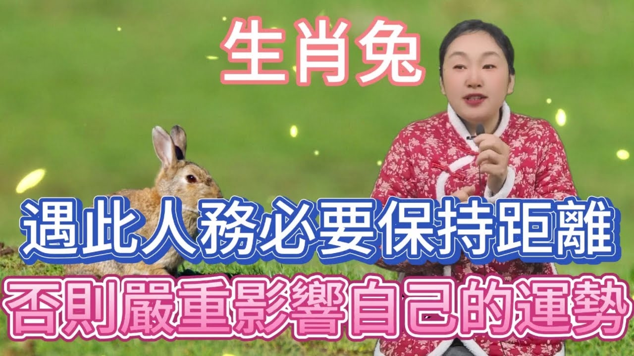 隔墙有耳的生肖，兔的智慧与隐秘插图